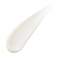 Absolute Silk Fluid 80ml
